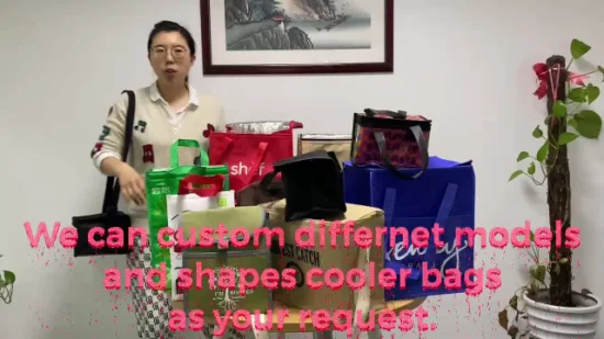 中国卸売からのカスタマイズされた 6 パック不織布断熱ランチバッグ